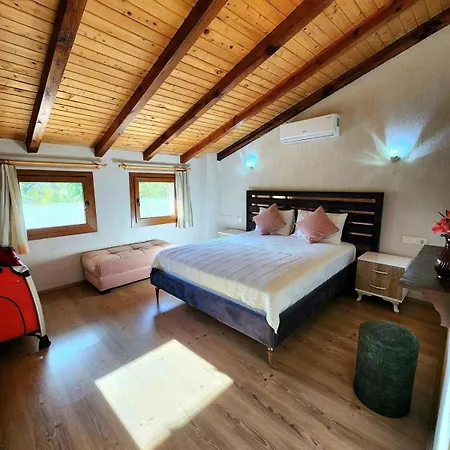 Zeka Fethiye